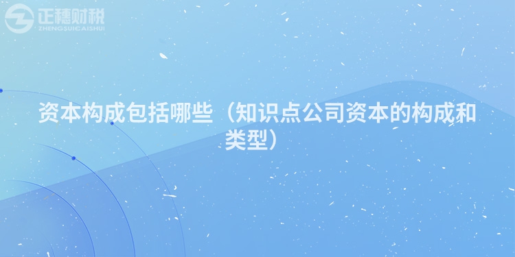 資本構(gòu)成包括哪些(知識(shí)點(diǎn)公司資本的構(gòu)成和類型)