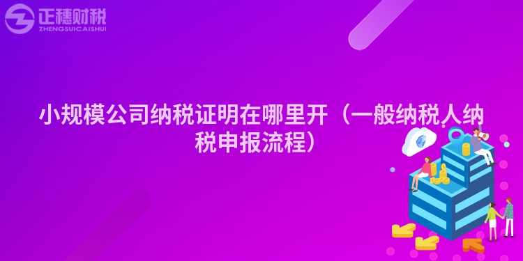 小規(guī)模公司納稅證明在哪里開(一般納稅人納稅申報(bào)流程)