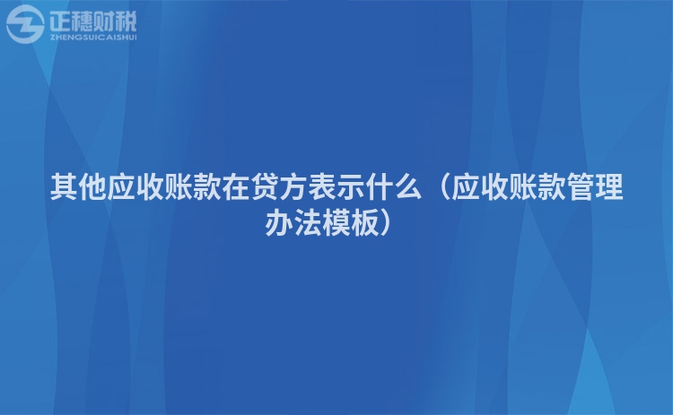 其他應(yīng)收賬款在貸方表示什么（應(yīng)收賬款管理辦法模板）