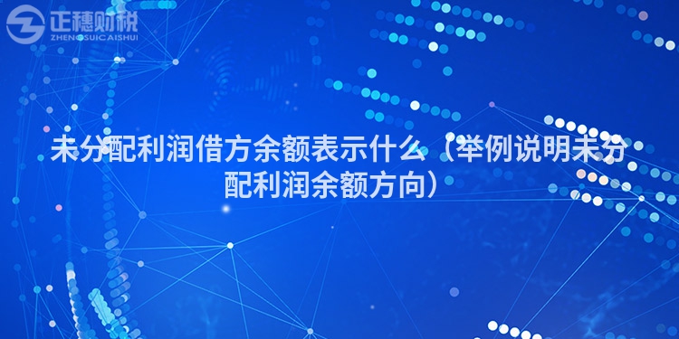 未分配利潤(rùn)借方余額表示什么（舉例說明未分配利潤(rùn)余額方向）