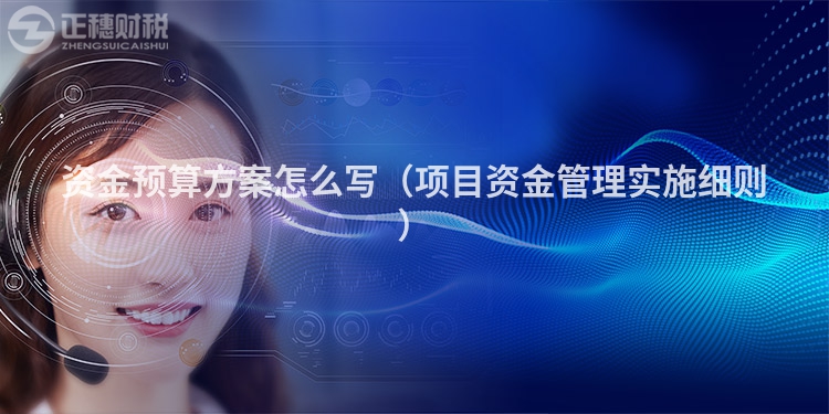 資金預(yù)算方案怎么寫（項目資金管理實施細則）