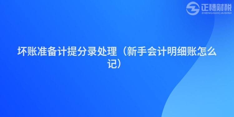 壞賬準(zhǔn)備計(jì)提分錄處理(新手會(huì)計(jì)明細(xì)賬怎么記)