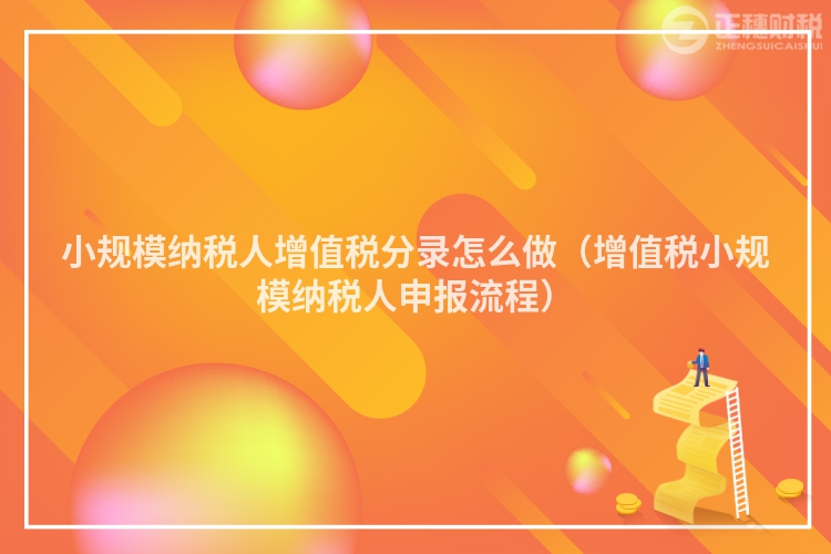 小規(guī)模納稅人增值稅分錄怎么做（增值稅小規(guī)模納稅人申報流程）