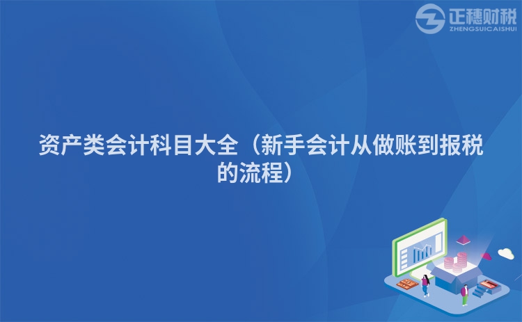 資產(chǎn)類會(huì)計(jì)科目大全(新手會(huì)計(jì)從做賬到報(bào)稅的流程)