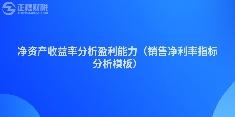 凈資產(chǎn)收益率分析盈利能力（銷售凈利率指標(biāo)分析模板）