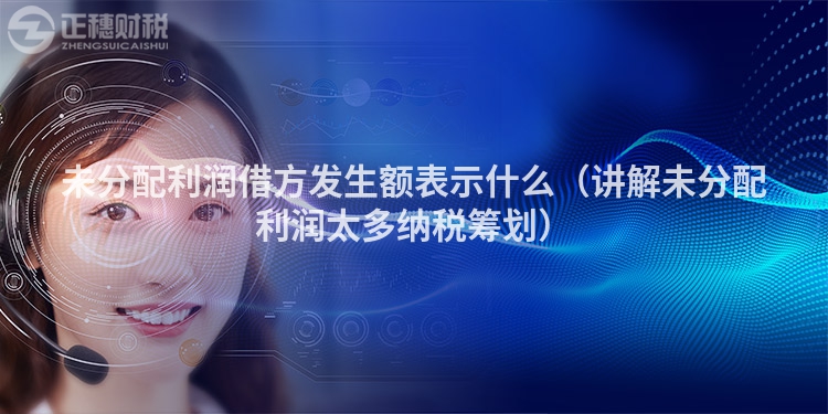 未分配利潤借方發(fā)生額表示什么（講解未分配利潤太多納稅籌劃）