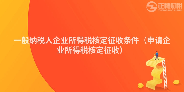 一般納稅人企業(yè)所得稅核定征收條件（申請(qǐng)企業(yè)所得稅核定征收）