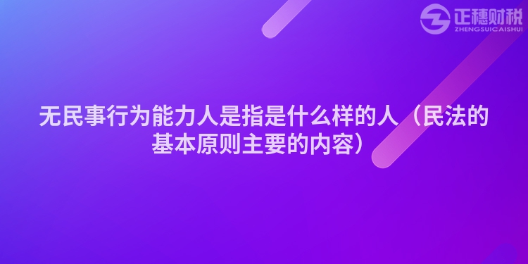 無民事行為能力人是指是什么樣的人（民法的基本原則主要的內(nèi)容）