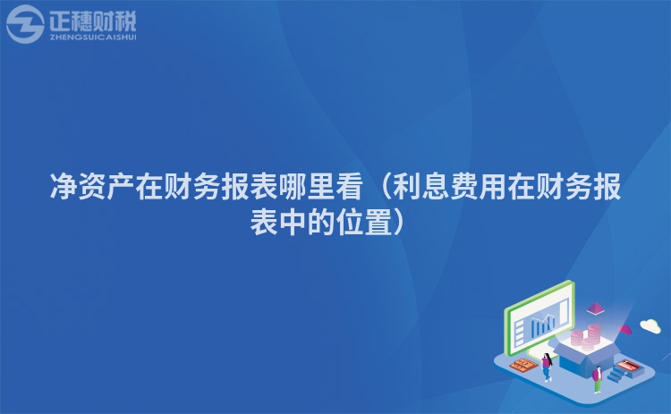 凈資產(chǎn)在財(cái)務(wù)報(bào)表哪里看(利息費(fèi)用在財(cái)務(wù)報(bào)表中的位置)