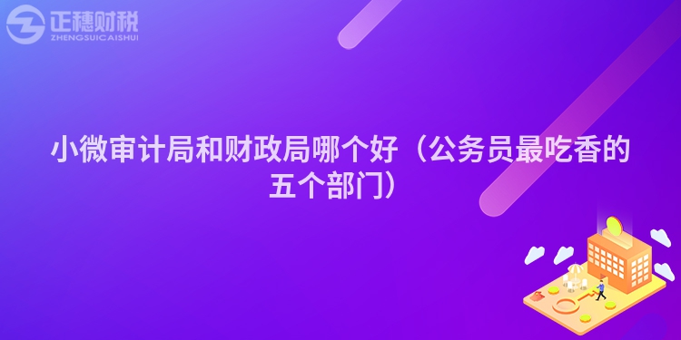 小微審計(jì)局和財(cái)政局哪個(gè)好（公務(wù)員最吃香的五個(gè)部門(mén)）