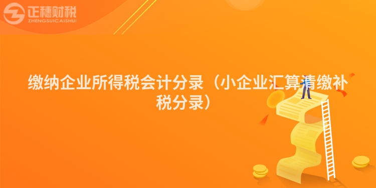 繳納企業(yè)所得稅會(huì)計(jì)分錄（小企業(yè)匯算清繳補(bǔ)稅分錄）