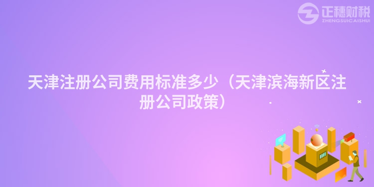 天津注冊公司費用標準多少（天津濱海新區(qū)注冊公司政策）