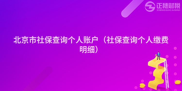 北京市社保查詢個(gè)人賬戶（社保查詢個(gè)人繳費(fèi)明細(xì)）