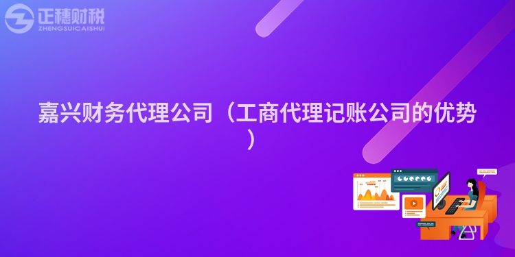 嘉興財(cái)務(wù)代理公司（工商代理記賬公司的優(yōu)勢(shì)）